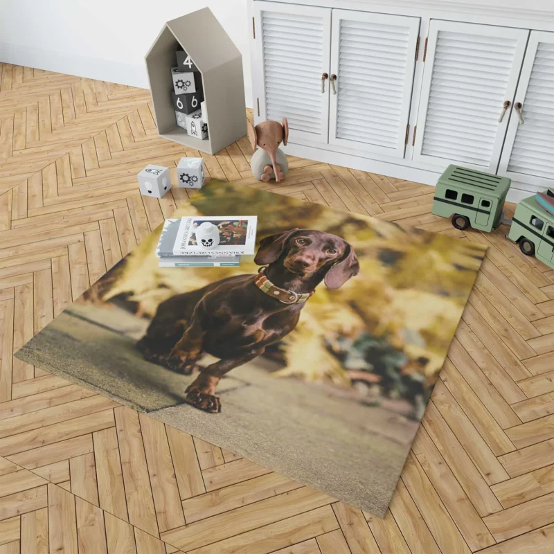 Depth of Field Dachshund Delight: Quartet Floor Rug 1