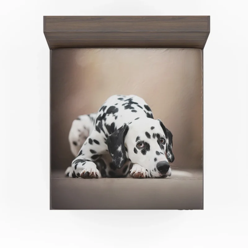 Depth of Field Dalmatian Quartet Fitted Sheet