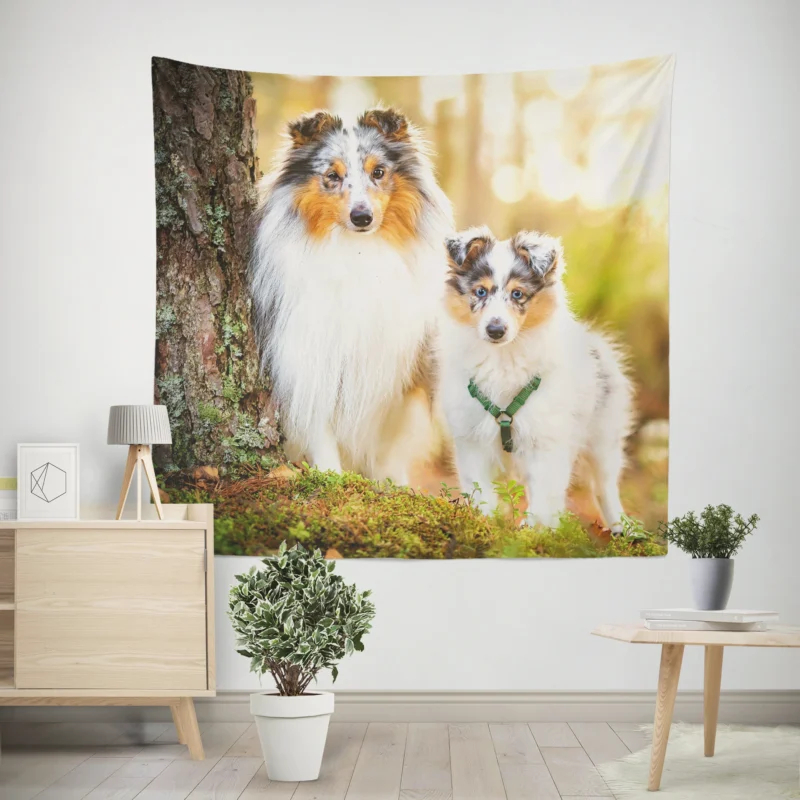 Depth-of-Field Dream  Shetland Sheepdog Quartet Wall Tapestry