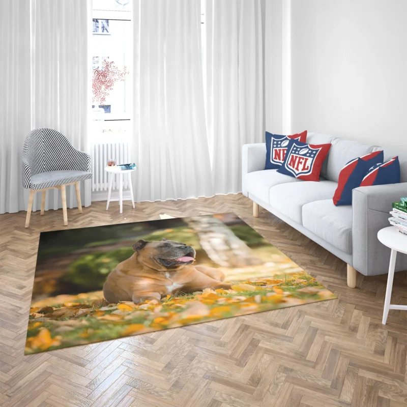 Depth of Field Elegance: Cane Corso Quartet Floor Rug 2