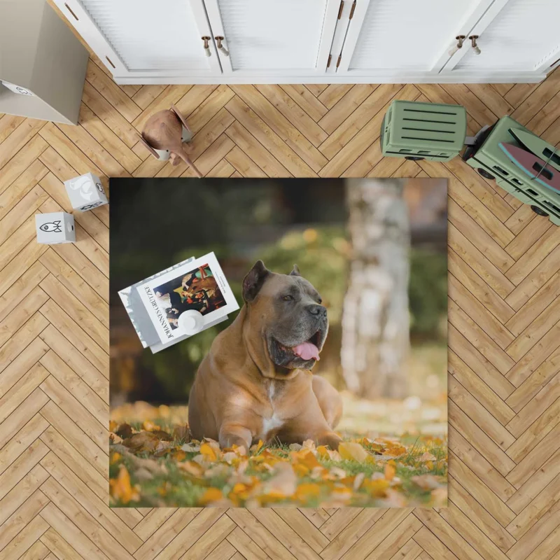 Depth of Field Elegance: Cane Corso Quartet Floor Rug