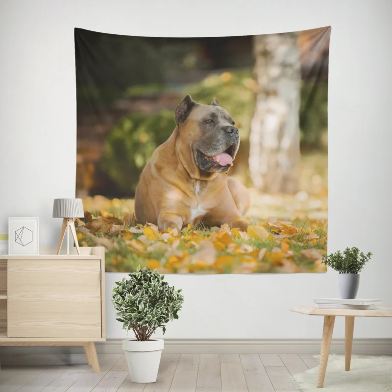 Depth of Field Elegance  Cane Corso Quartet Wall Tapestry