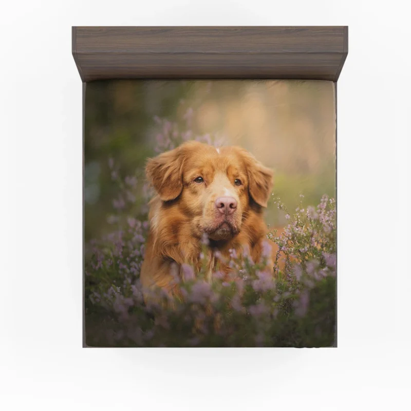 Depth of Field: Nova Scotia Duck Tolling Retriever Quartet Fitted Sheet