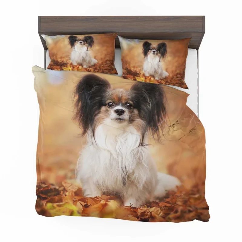 Depth of Field: Papillon Quartet Bedding Set 1