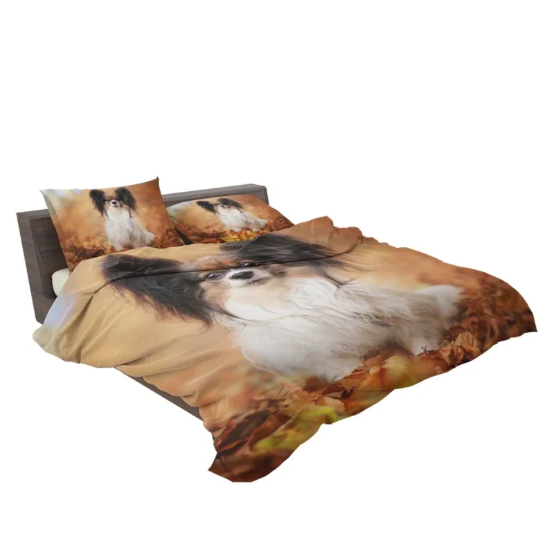 Depth of Field: Papillon Quartet Bedding Set 2