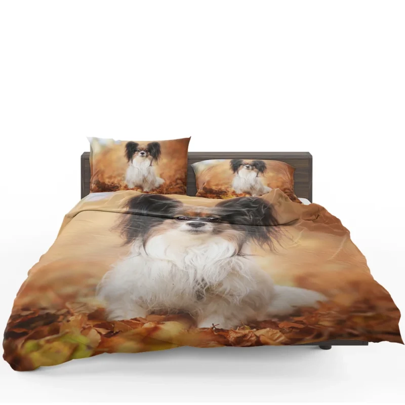 Depth of Field: Papillon Quartet Bedding Set