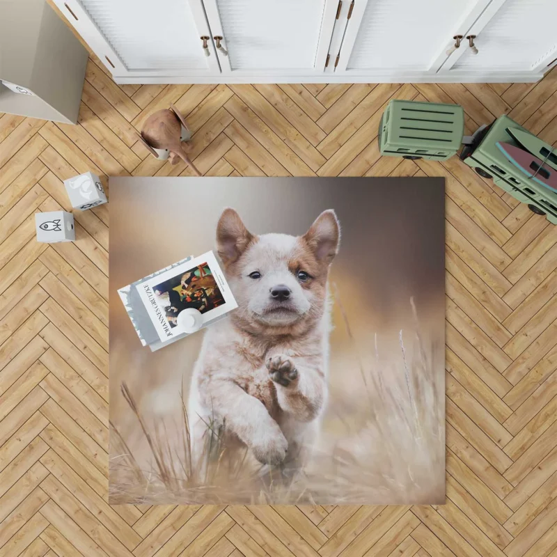 Depth of Field Puppy Play with the Akita Quartet Floor Rug