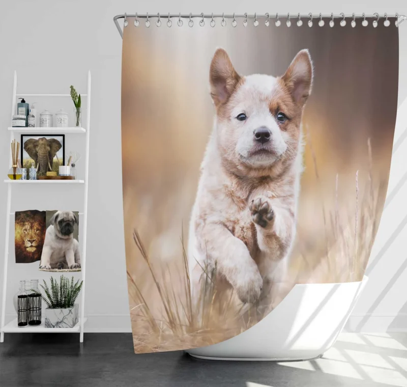 Depth of Field Puppy Play with the Akita Quartet Shower Curtain