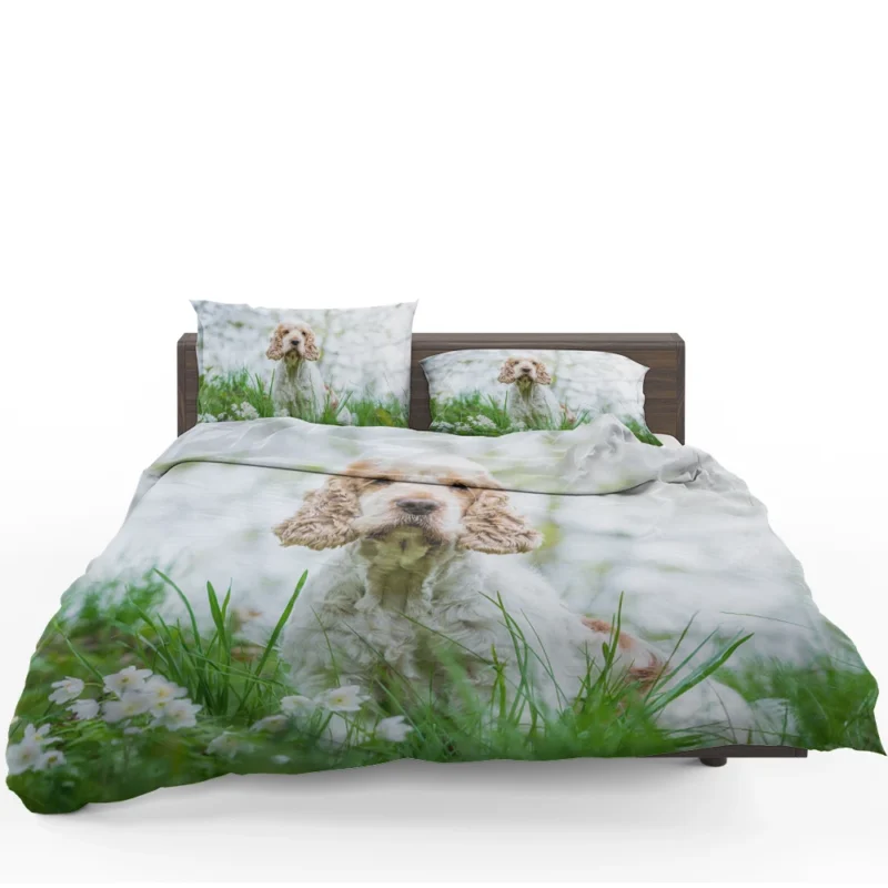 Depth of Field Spaniel Beauty: Cocker Spaniel Quartet Bedding Set
