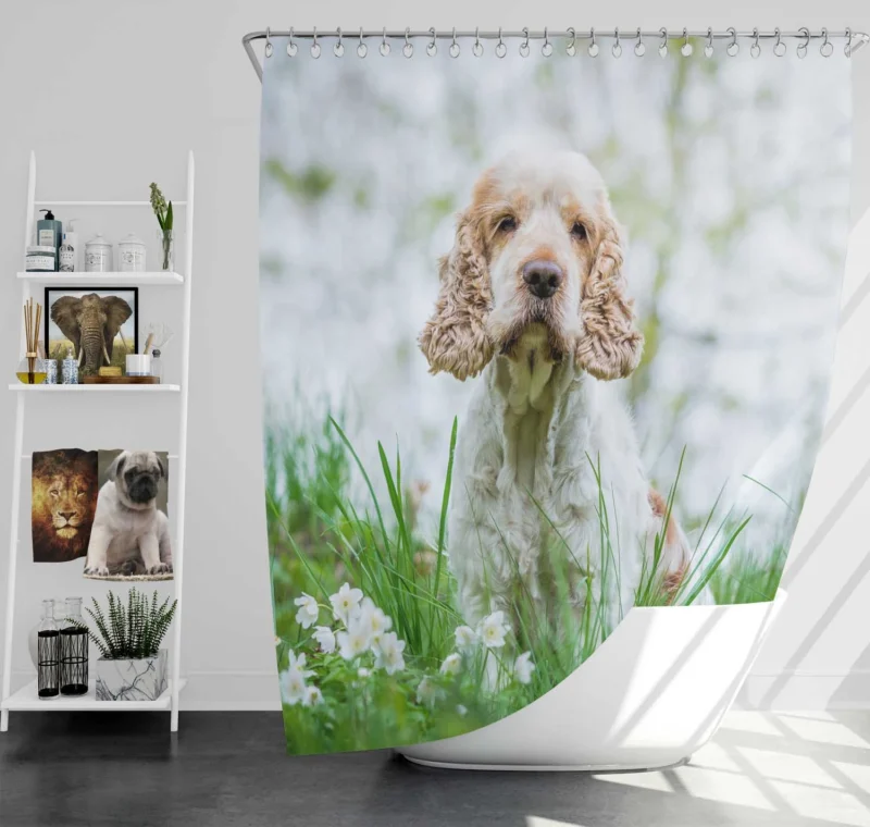 Depth of Field Spaniel Beauty: Cocker Spaniel Quartet Shower Curtain