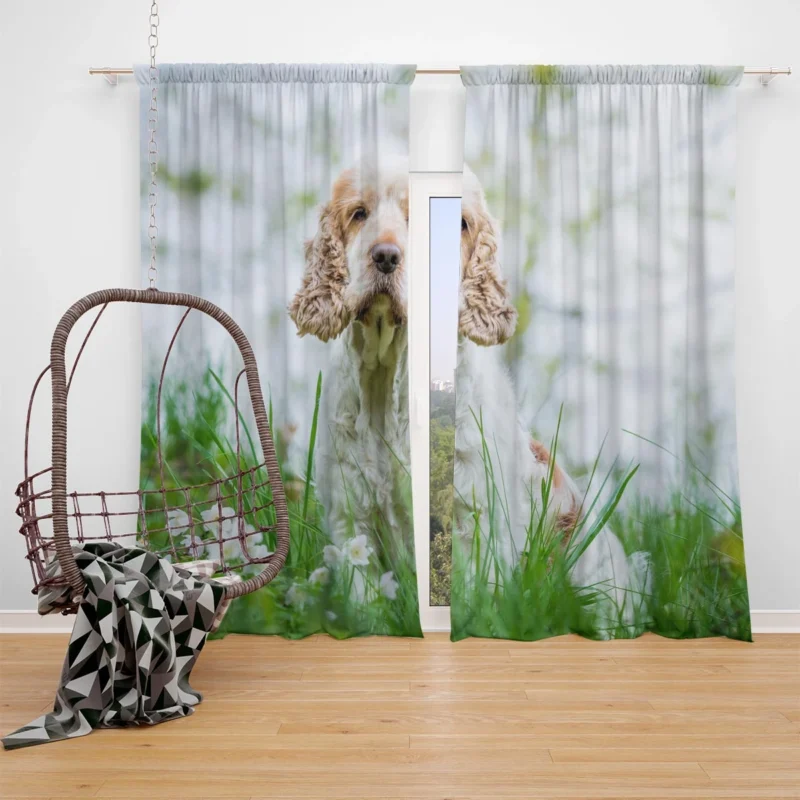 Depth of Field Spaniel Beauty: Cocker Spaniel Quartet Window Curtain