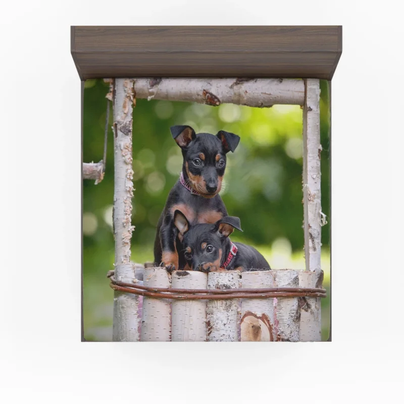 Doberman Puppies in Bauble with Bokeh: Doberman Pinscher Quartet Fitted Sheet