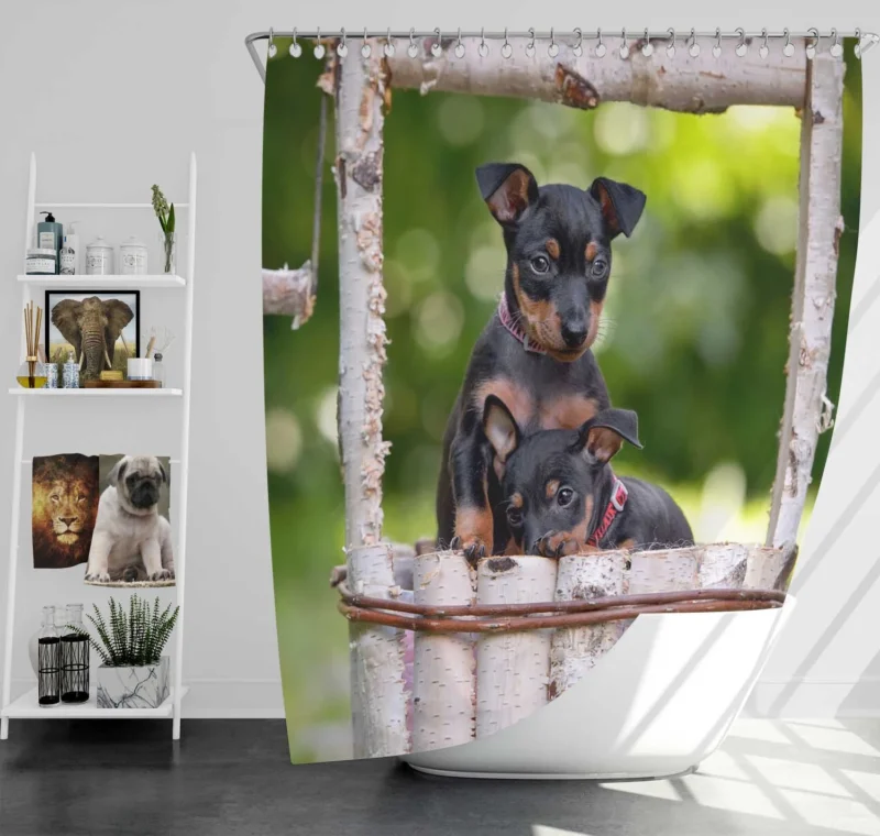 Doberman Puppies in Bauble with Bokeh: Doberman Pinscher Quartet Shower Curtain