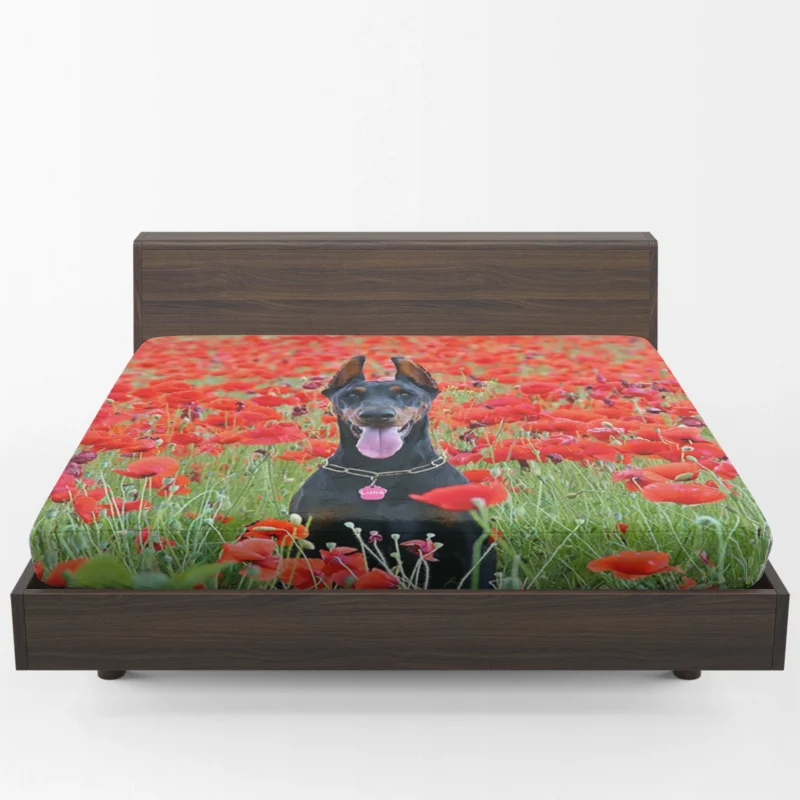 Doberman Puppies in a Poppy Field: Doberman Pinscher Quartet Fitted Sheet 1