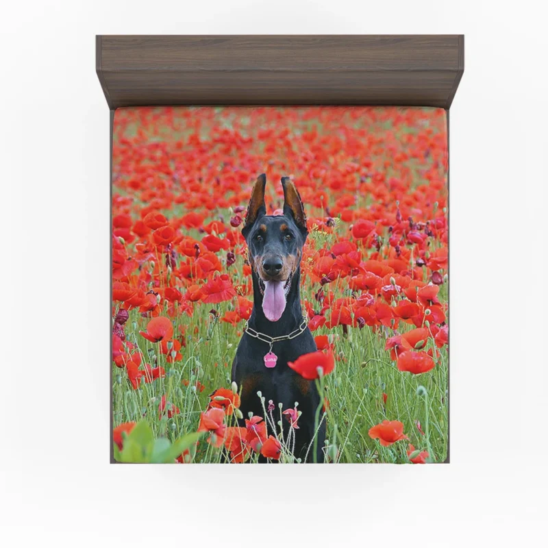 Doberman Puppies in a Poppy Field: Doberman Pinscher Quartet Fitted Sheet