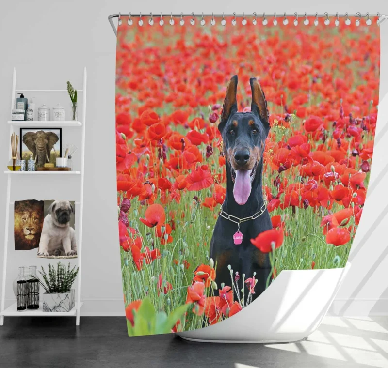 Doberman Puppies in a Poppy Field: Doberman Pinscher Quartet Shower Curtain