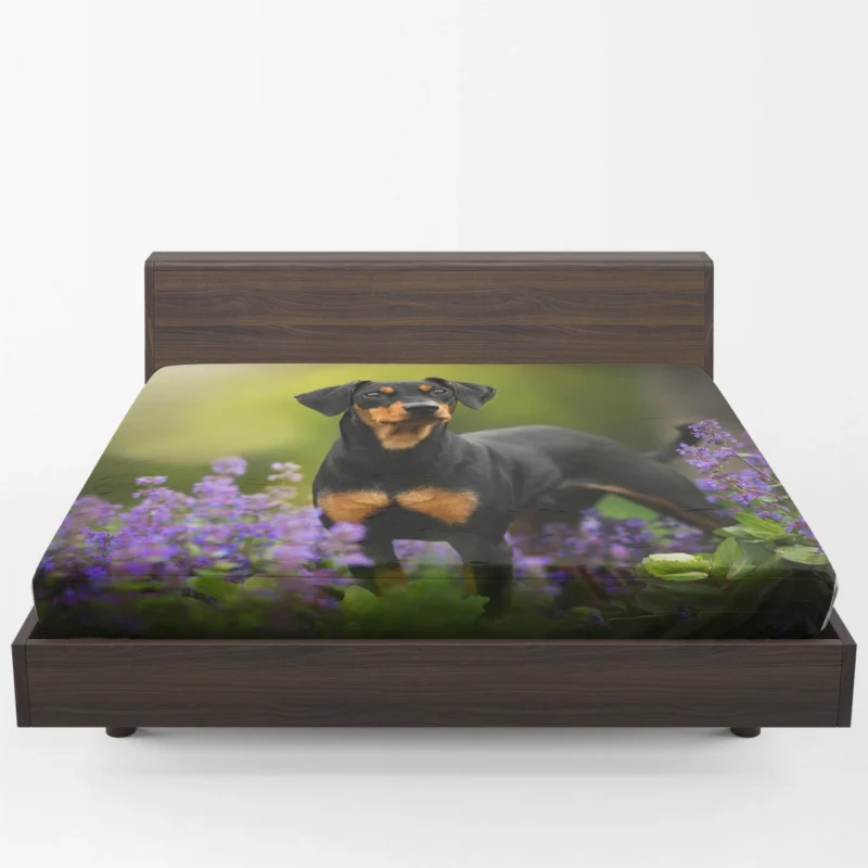 Doberman Puppies with Flowers and Bokeh: Doberman Pinscher Quartet Fitted Sheet 1