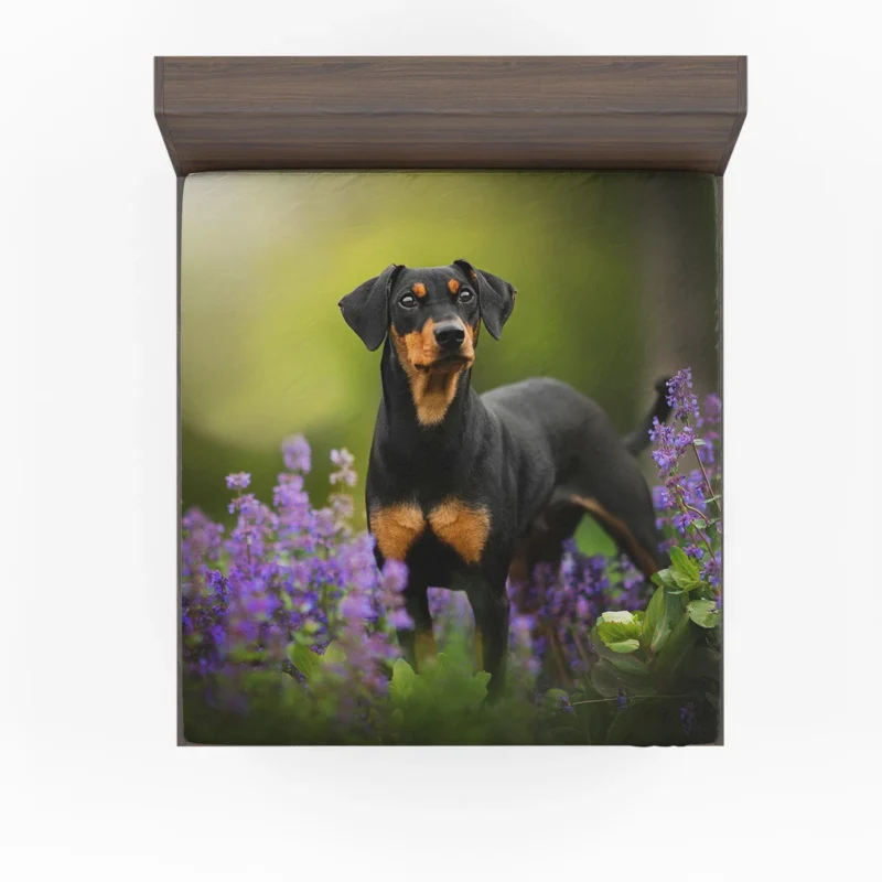 Doberman Puppies with Flowers and Bokeh: Doberman Pinscher Quartet Fitted Sheet