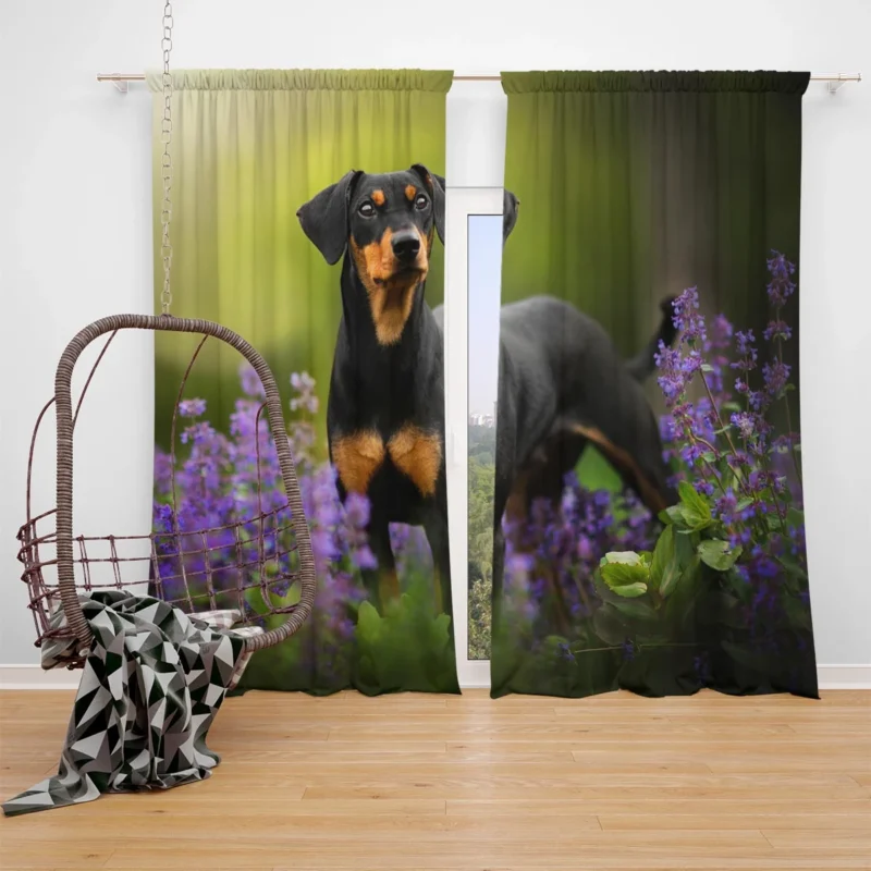 Doberman Puppies with Flowers and Bokeh: Doberman Pinscher Quartet Window Curtain