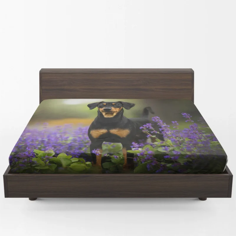 Doberman Puppies with Flowers and Depth of Field: Doberman Pinscher Quartet Fitted Sheet 1