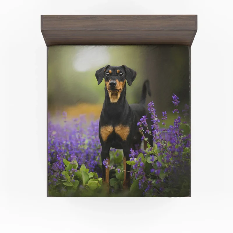 Doberman Puppies with Flowers and Depth of Field: Doberman Pinscher Quartet Fitted Sheet