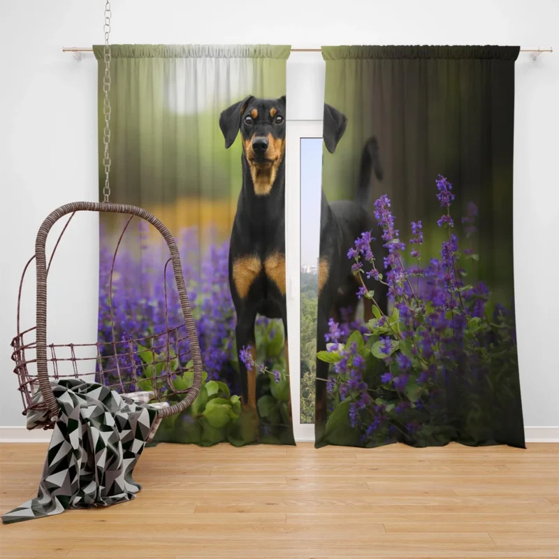 Doberman Puppies with Flowers and Depth of Field: Doberman Pinscher Quartet Window Curtain