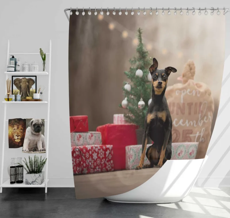 Doberman with Christmas Presents: Doberman Pinscher Quartet Shower Curtain