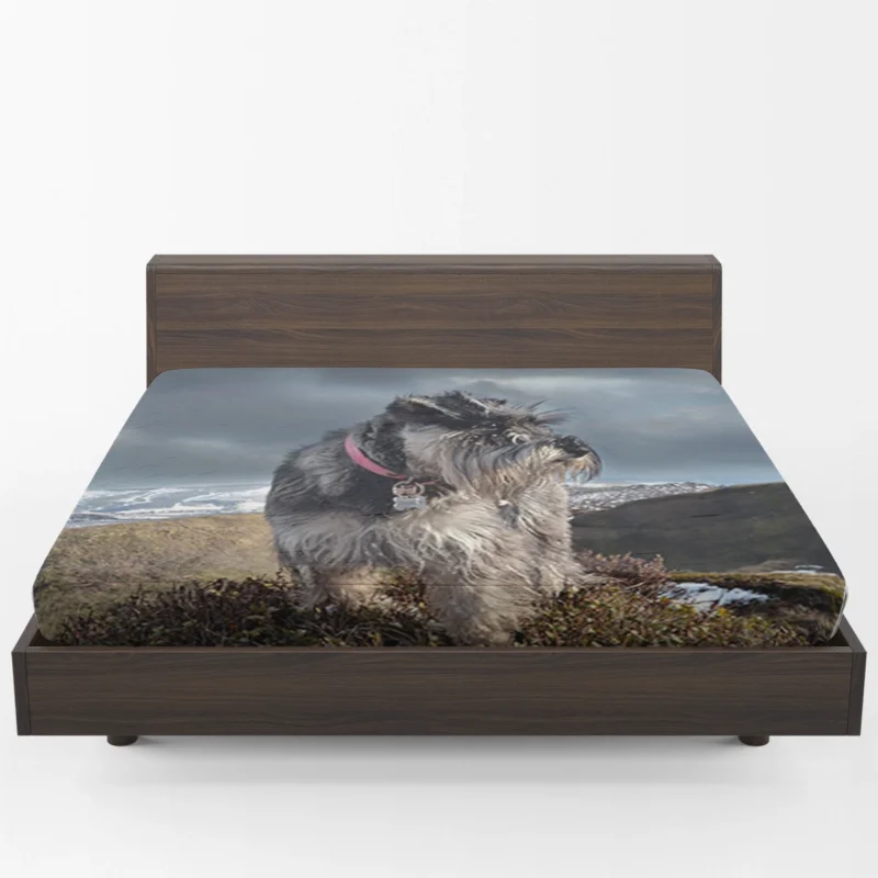 Dog Among Wildflowers: Schnauzer Quartet Fitted Sheet 1