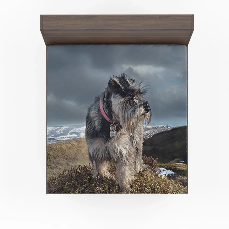 Dog Among Wildflowers: Schnauzer Quartet Fitted Sheet