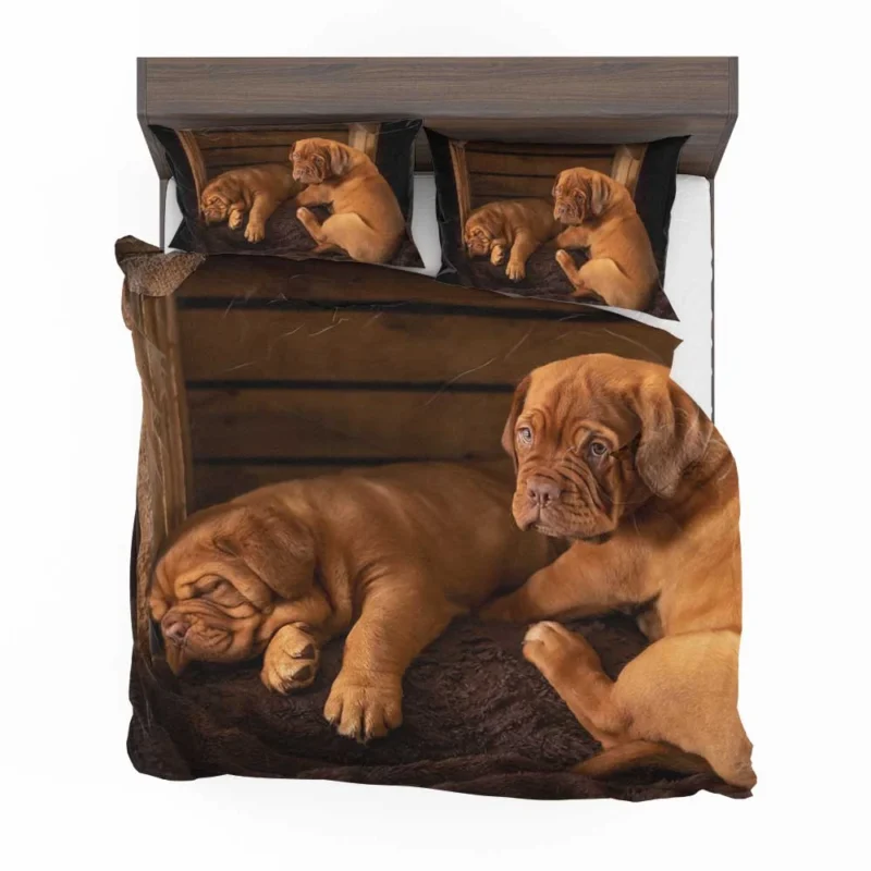 Dogue de Bordeaux Puppies in Bauble: Quartet Bedding Set 1