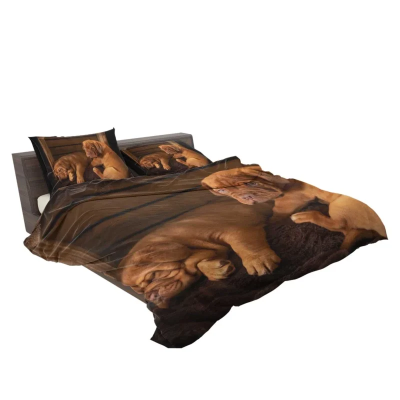 Dogue de Bordeaux Puppies in Bauble: Quartet Bedding Set 2