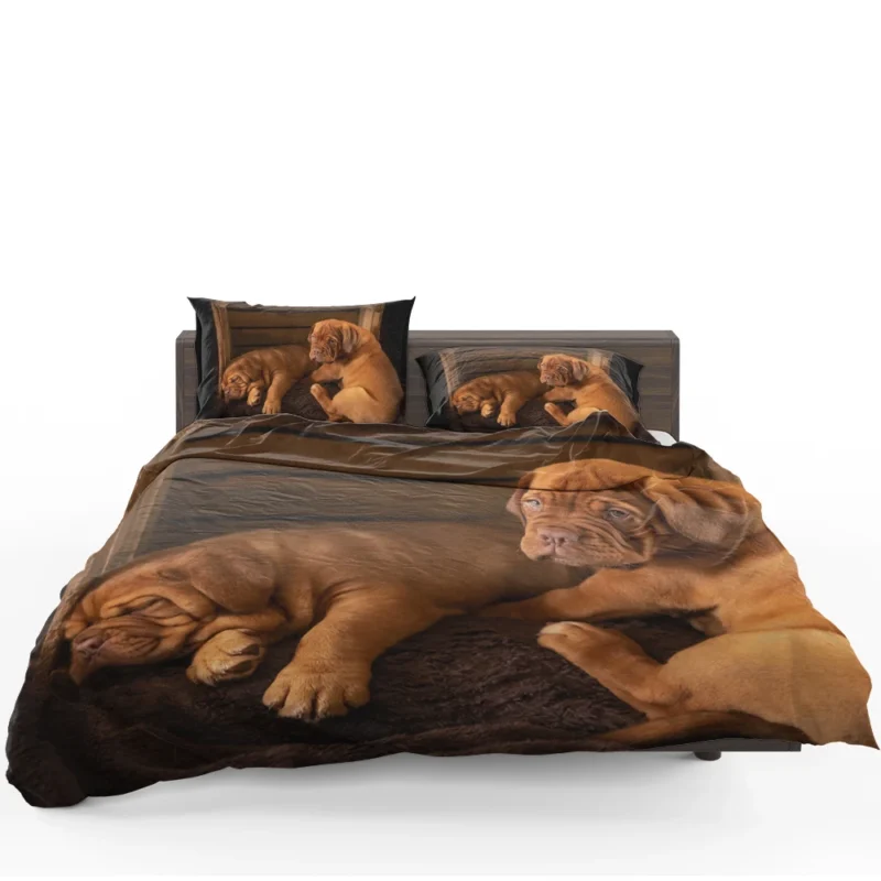 Dogue de Bordeaux Puppies in Bauble: Quartet Bedding Set