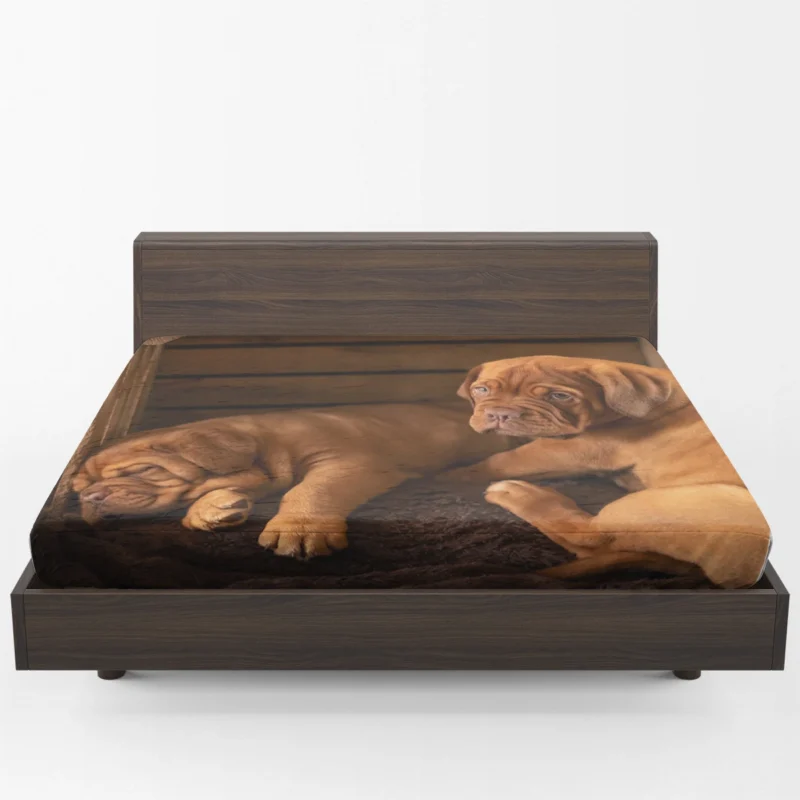 Dogue de Bordeaux Puppies in Bauble: Quartet Fitted Sheet 1