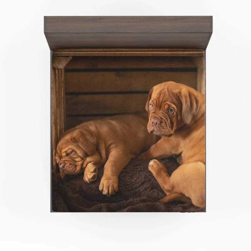 Dogue de Bordeaux Puppies in Bauble: Quartet Fitted Sheet