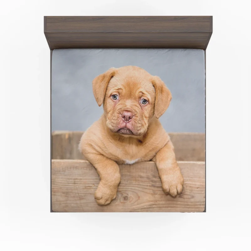 Dogue de Bordeaux Puppy in a Bauble: Quartet Fitted Sheet