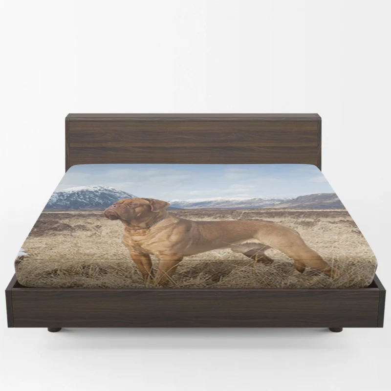 Dogue de Bordeaux in the Mountains: Quartet Fitted Sheet 1