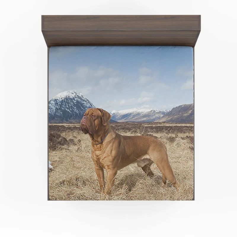 Dogue de Bordeaux in the Mountains: Quartet Fitted Sheet