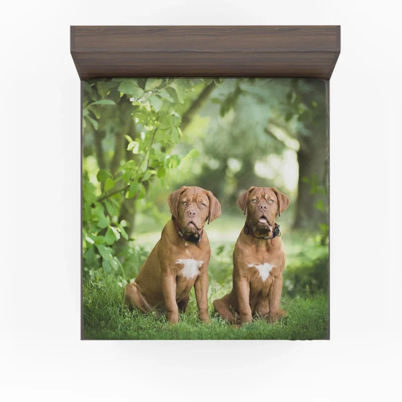 Dogue de Bordeaux with Bokeh: Quartet Fitted Sheet