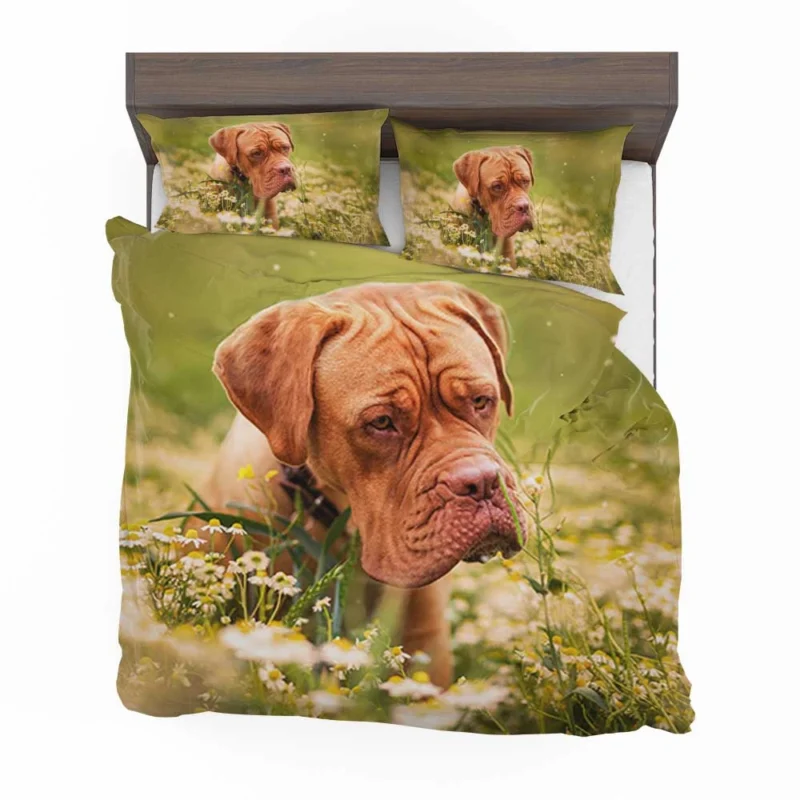 Dogue de Bordeaux with Muzzle and Flowers: Quartet Bedding Set 1