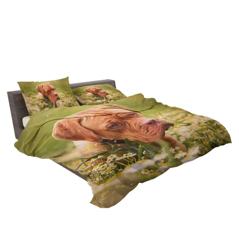 Dogue de Bordeaux with Muzzle and Flowers: Quartet Bedding Set 2