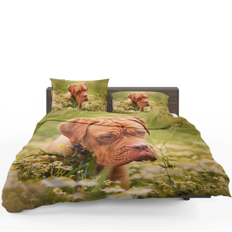 Dogue de Bordeaux with Muzzle and Flowers: Quartet Bedding Set