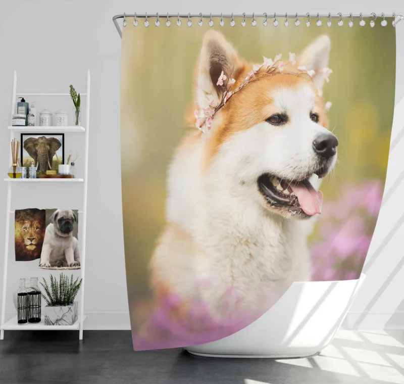 Dreamy Blurred Surroundings: Shiba Inu Quartet Shower Curtain