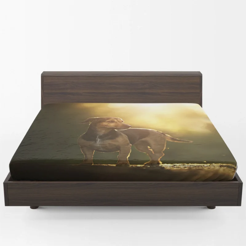 Dreamy Bokeh Delight: Dachshund Quartet Fitted Sheet 1