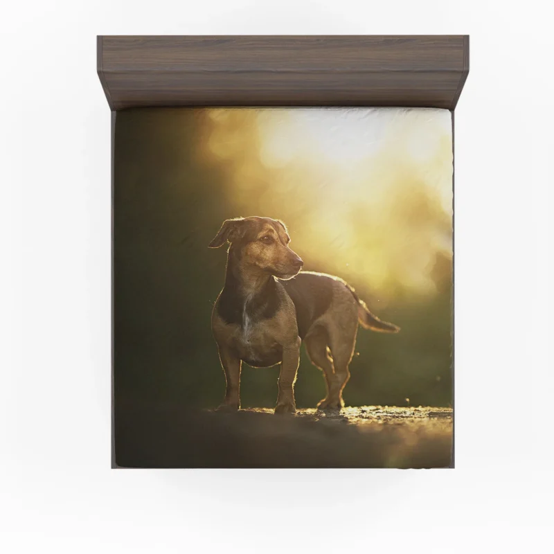 Dreamy Bokeh Delight: Dachshund Quartet Fitted Sheet