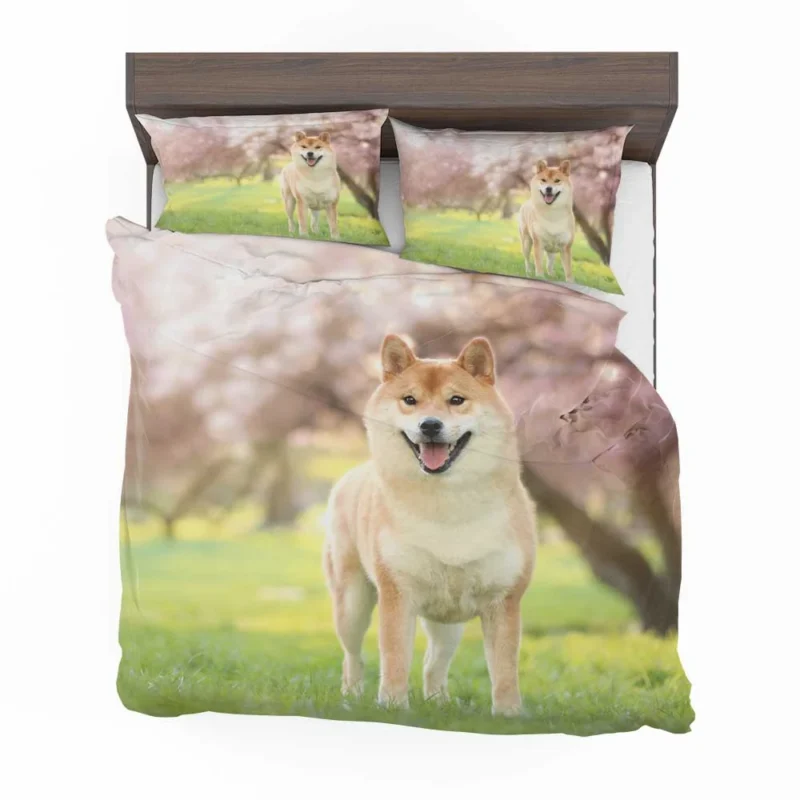 Dreamy Depth of Field: Shiba Inu Quartet Bedding Set 1