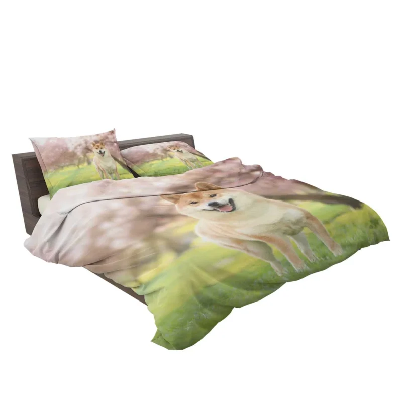 Dreamy Depth of Field: Shiba Inu Quartet Bedding Set 2