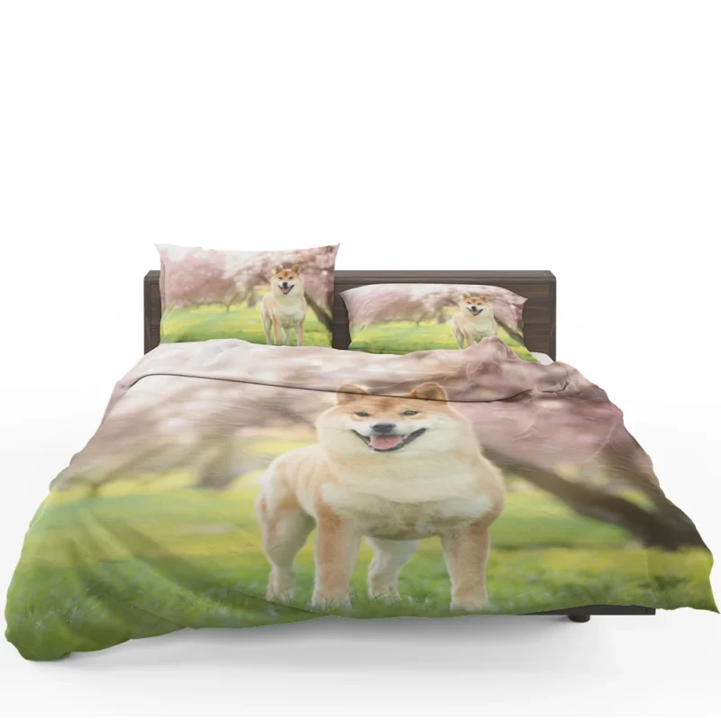 Dreamy Depth of Field: Shiba Inu Quartet Bedding Set