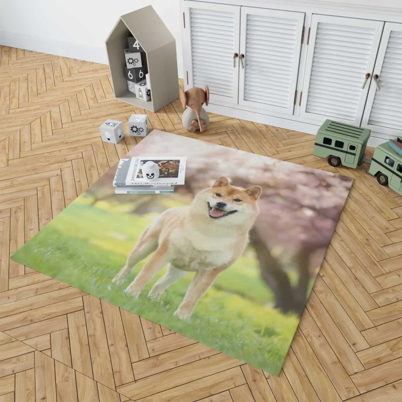 Dreamy Depth of Field: Shiba Inu Quartet Floor Rug 1