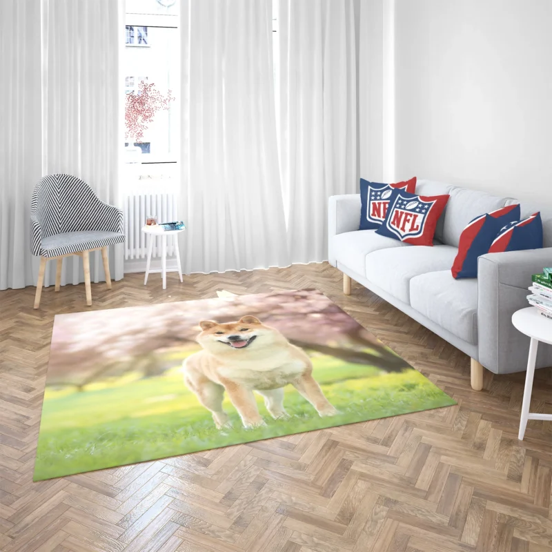 Dreamy Depth of Field: Shiba Inu Quartet Floor Rug 2