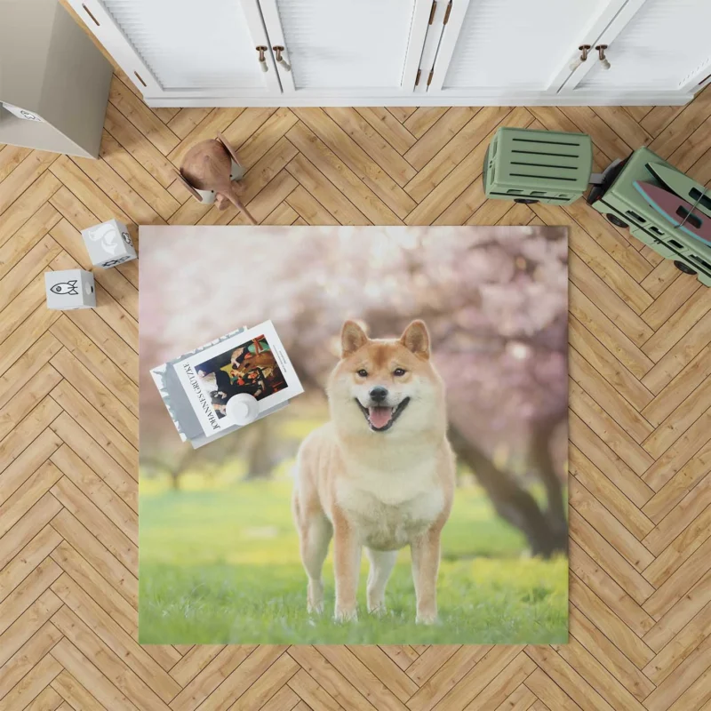 Dreamy Depth of Field: Shiba Inu Quartet Floor Rug